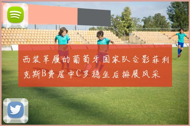 西装革履的葡萄牙国家队合影菲利克斯B费居中C罗稳坐后排展风采